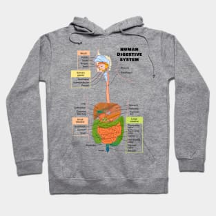 Diagram of the Human Digestive System Hoodie